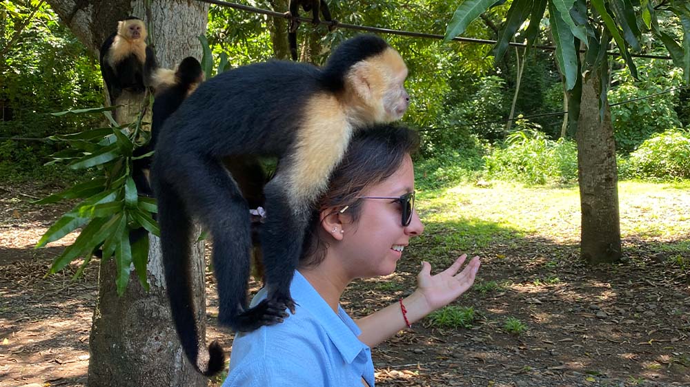 Monkey Tour in Jaco Costa Rica